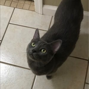 Meet your Posher, Jerry